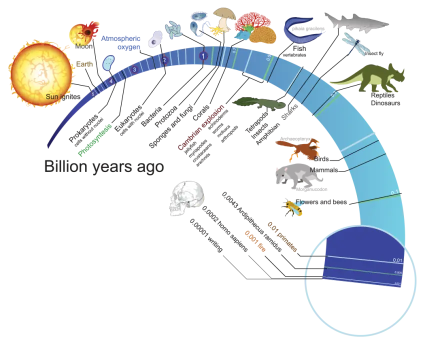 The Origins and Evolution: