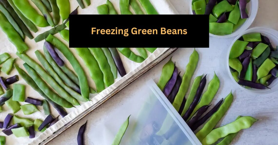 Freezing Green Beans A Guide to Preserving Freshness