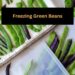 Freezing Green Beans A Guide to Preserving Freshness