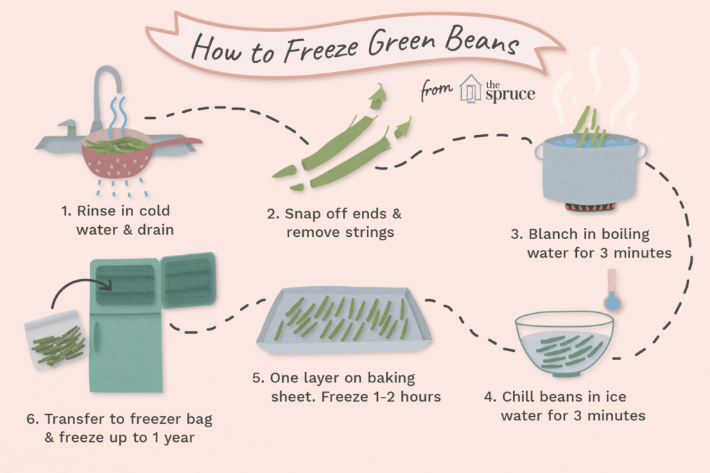 Preparing Green Beans for Freezing: