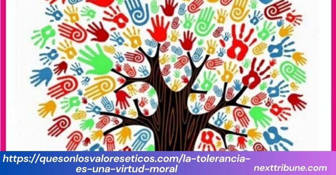 https://quesonlosvaloreseticos.com/la-tolerancia-es-una-virtud-moral