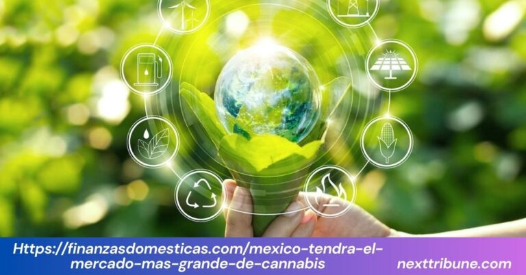 https://finanzasdomesticas.com/mexico-tendra-el-mercado-mas-grande-de-cannabis