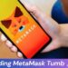 Downloading MetaMask Tumb