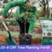 NUE-Tree 16-25-6 CRF Tree Planting Fertili