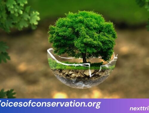 Voicesofconservation.org