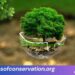 Voicesofconservation.org