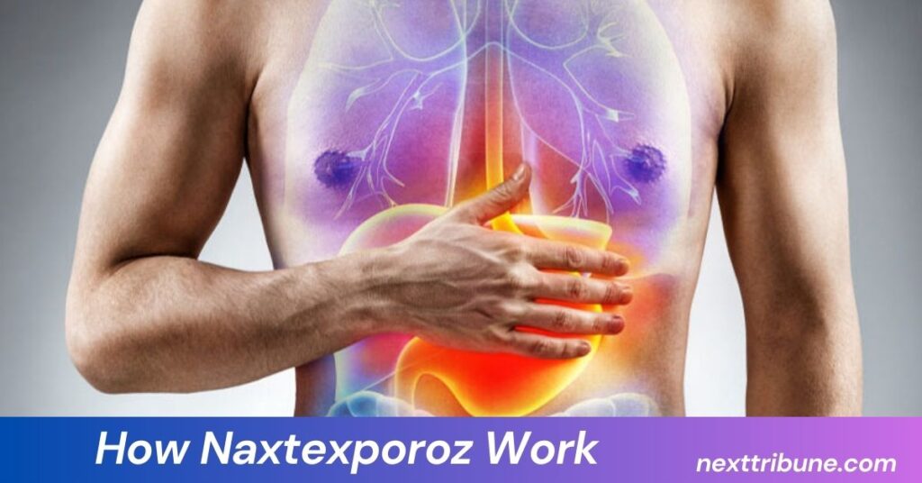 How Naxtexporoz Work