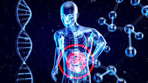 The Impact of Digestive Disease Specialists on Your Long-Term Health