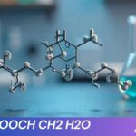 HCOOCH CH2 H2O