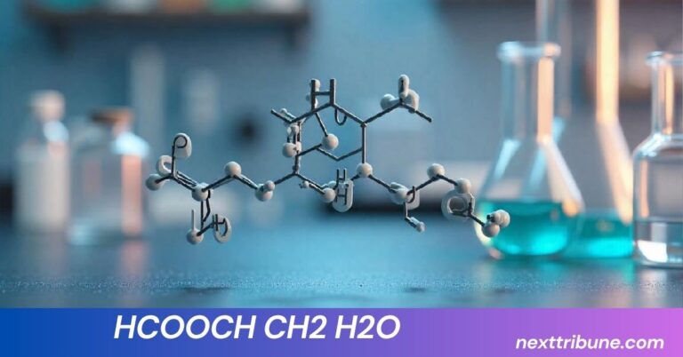 HCOOCH CH2 H2O
