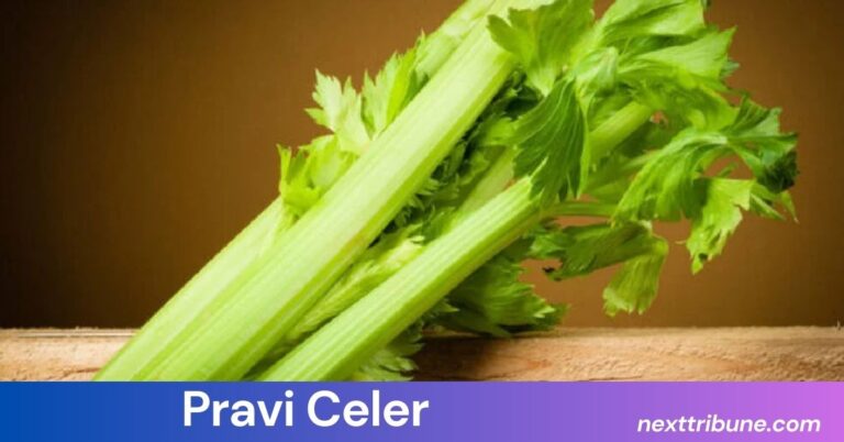 Pravi Celer